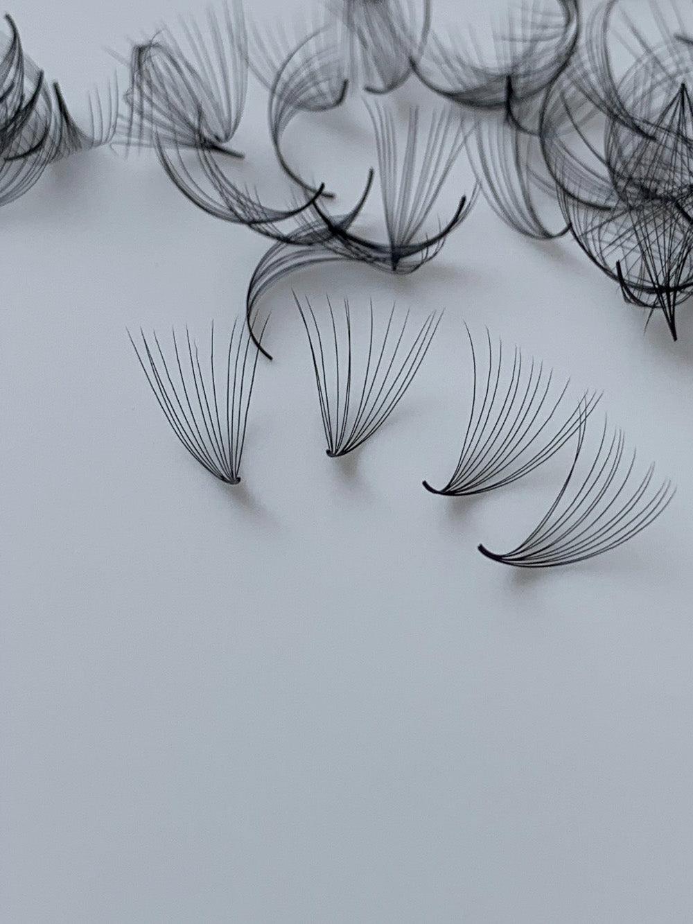 Eyelashes 12D